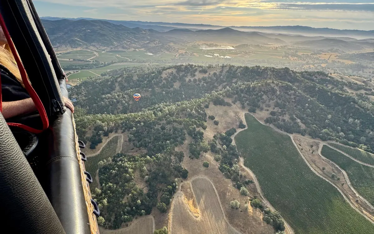 Un globo inflándose en un campo segado de Napa Valley con hileras de viñas detrás