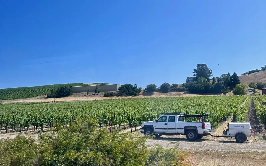 San Francisco: tour de vinos por Napa y Sonoma Valley